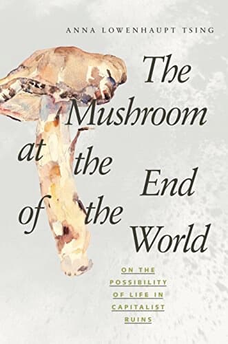 The Mushroom at the End of the World